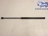 Tailgate strut 30721320