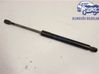 Tailgate strut 817801H521