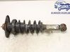 Rear shock absorber/damper 
