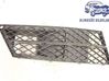 Front bumper upper radiator grill 