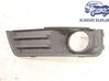 Front fog light trim/grill 