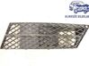 Front bumper upper radiator grill 