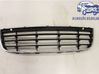 Front bumper upper radiator grill 
