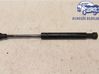 Front bonnet/hood damper/strut 
