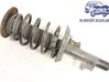 Front shock absorber with coil spring 31200246