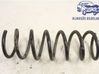 Rear coil spring 