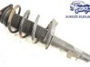 Front shock absorber with coil spring 