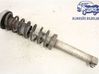 Rear shock absorber/damper 