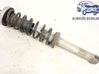 Rear shock absorber/damper 