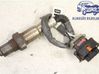 Sonda lambda 55599154