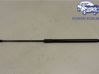 Tailgate strut 689500H030