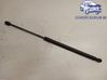 Tailgate strut 31395910