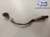 Lambda probe sensor 55562206