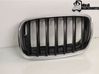 Front bumper lower grill 51317157687