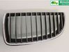 Front bumper lower grill 51137120009