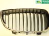 Front bumper lower grill 51137077130
