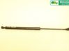 Tailgate strut 844308661R