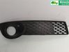 Priešrūkinio žibinto apdaila/ grotelės 12756079