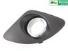 Front fog light trim/grill 865631H020