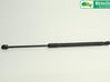 Tailgate strut 817801P000