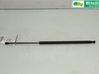 Tailgate strut 51243400379