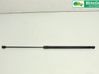 Front bonnet/hood damper/strut 811612T000