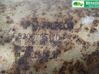 Filtro de partículas del catalizador/FAP/DPF 8200795170