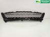 Front bumper lower grill BR5S501T0A