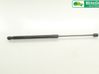 Front bonnet/hood damper/strut 32318593