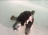 Wiper motor 288151061R