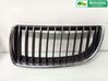 Front bumper lower grill 51137120009