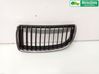 Front bumper lower grill 51137120007