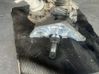 Rear gearbox reducer/haldex oil pump 