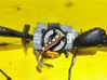 Multifunctional control switch/knob 54034960A