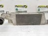 Intercooler radiator 93967