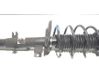 Front shock absorber/damper 