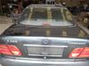 Trunk boot underbody cover/under tray 