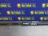 Tailgate/trunk strut/damper 