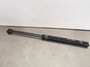Tailgate/trunk strut/damper 