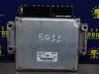Engine control unit/module 391044X910