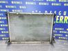 Radiador del refrigerante 6025316378