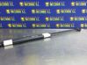 Tailgate/trunk strut/damper 
