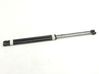 Tailgate/trunk strut/damper BM51A406A10AE
