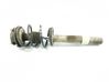 Front shock absorber with coil spring 31316775055