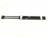 Tailgate/trunk strut/damper 315005777