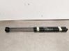 Tailgate/trunk strut/damper 