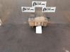 Coolant expansion tank/reservoir 3547248
