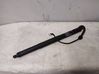 Tailgate strut 7361878