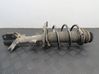 Front shock absorber/damper 543025179R