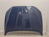 Engine bonnet/hood DS73F16612CN